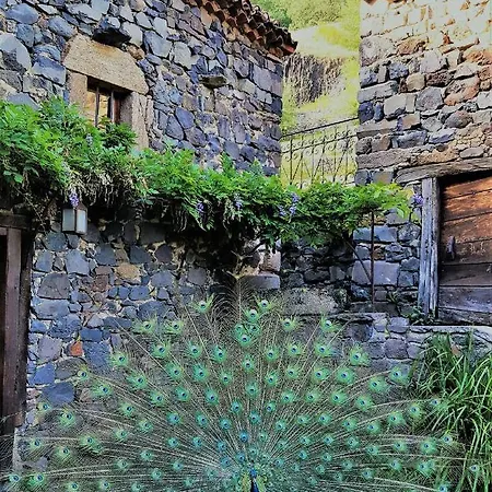 Le Moulin Bed & Breakfast *