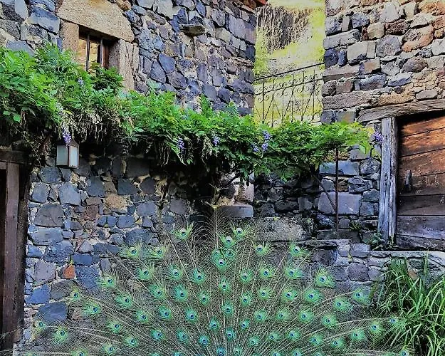 Le Moulin Oda ve Kahvaltı 3*