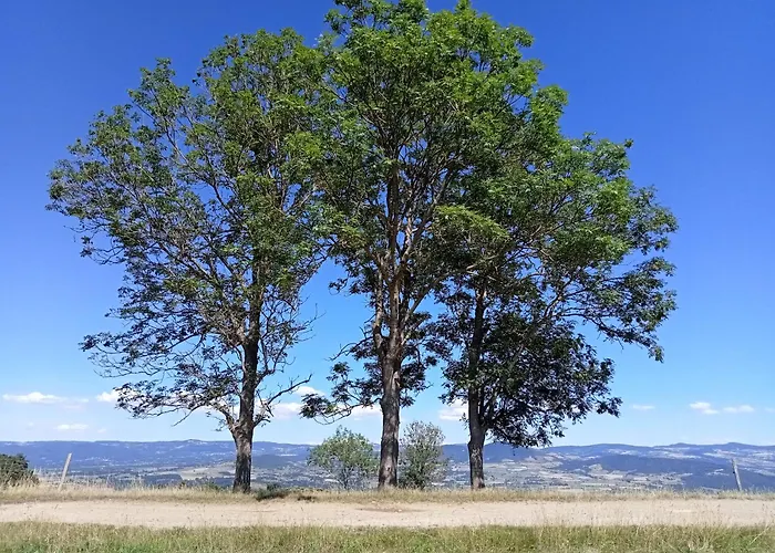 Oda ve Kahvaltı Le Moulin 3*